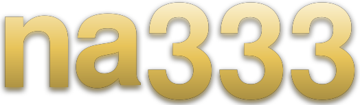 na333 logo